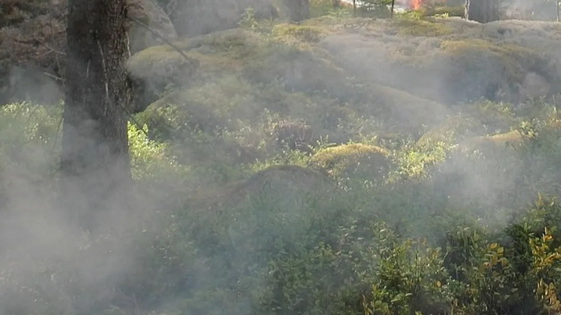Incendie en Belgique : fumées et odeurs de brûlé encore présentes...