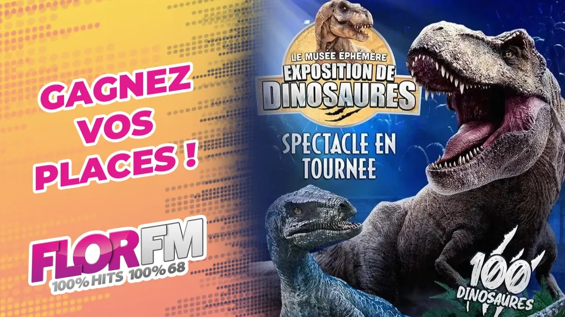 LE MUSEE EPHEMERE EXPOSITION DES DINAUSORES