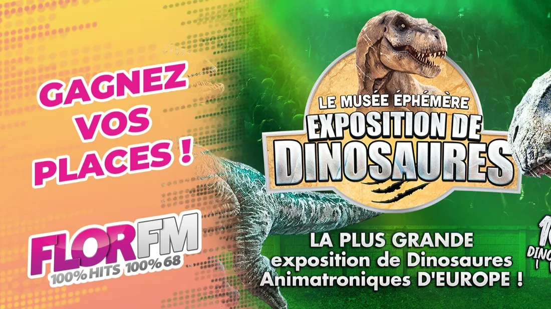 LE MUSEE EPHEMERE EXPOSITION DES DINOSAURES
