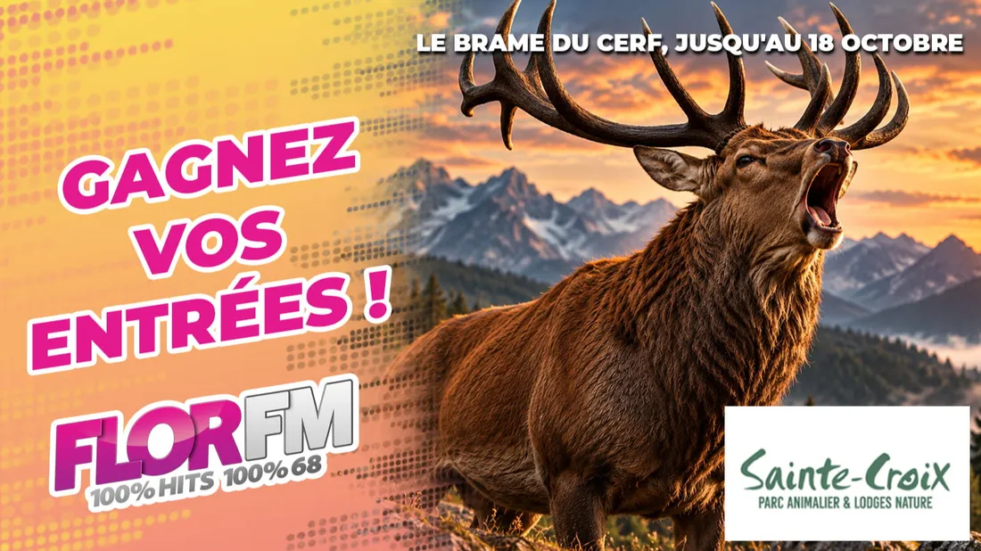 GAGNEZ VOS ENTREES POUR LE PARC DE SAINTE-CROIX