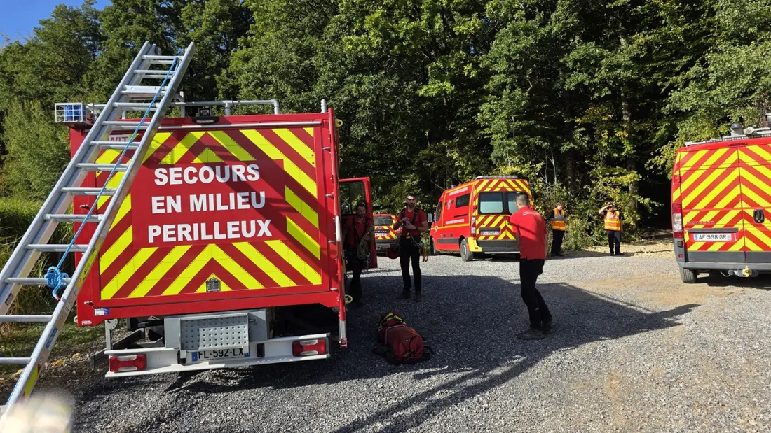 Ardennes - Un homme de 67 ans retrouvé mort en haut d’un arbre