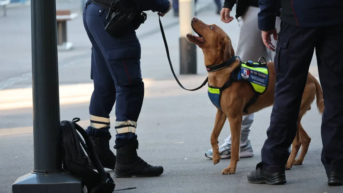 Opération de sécurisation en gare de Charleville-Mézières