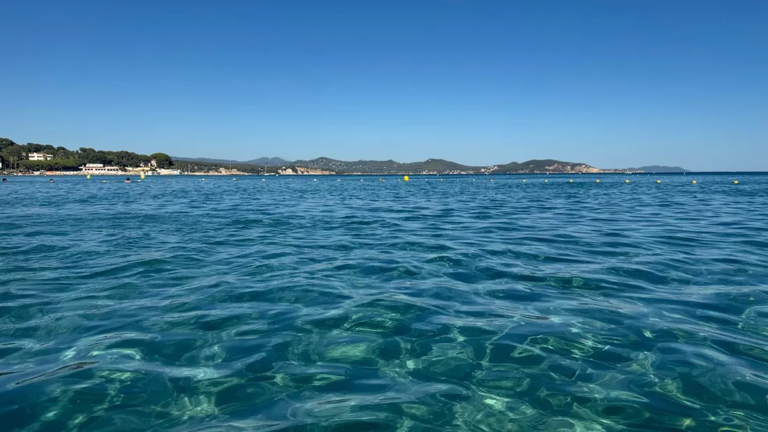 Méditerranée : cultiver pour reconstruire le lien