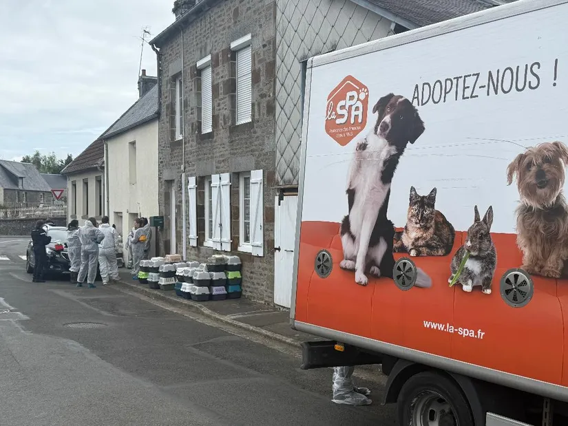 Une soixantaine de chats retrouvés au domicile d'une Viroise 