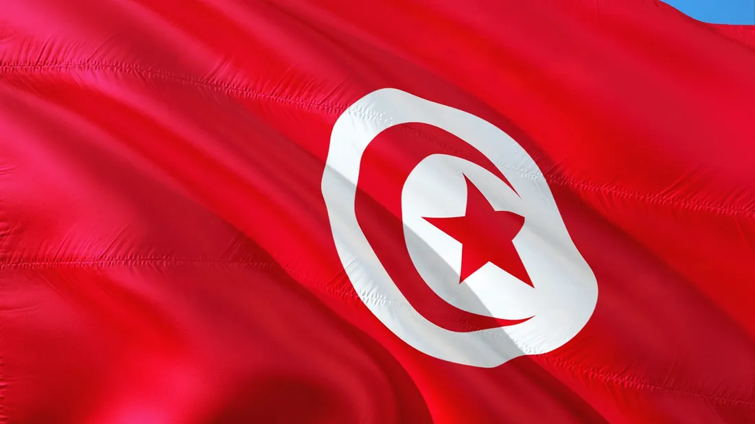 La France et la Tunisie lancent un nouveau portail pour simplifier la coopération économique !