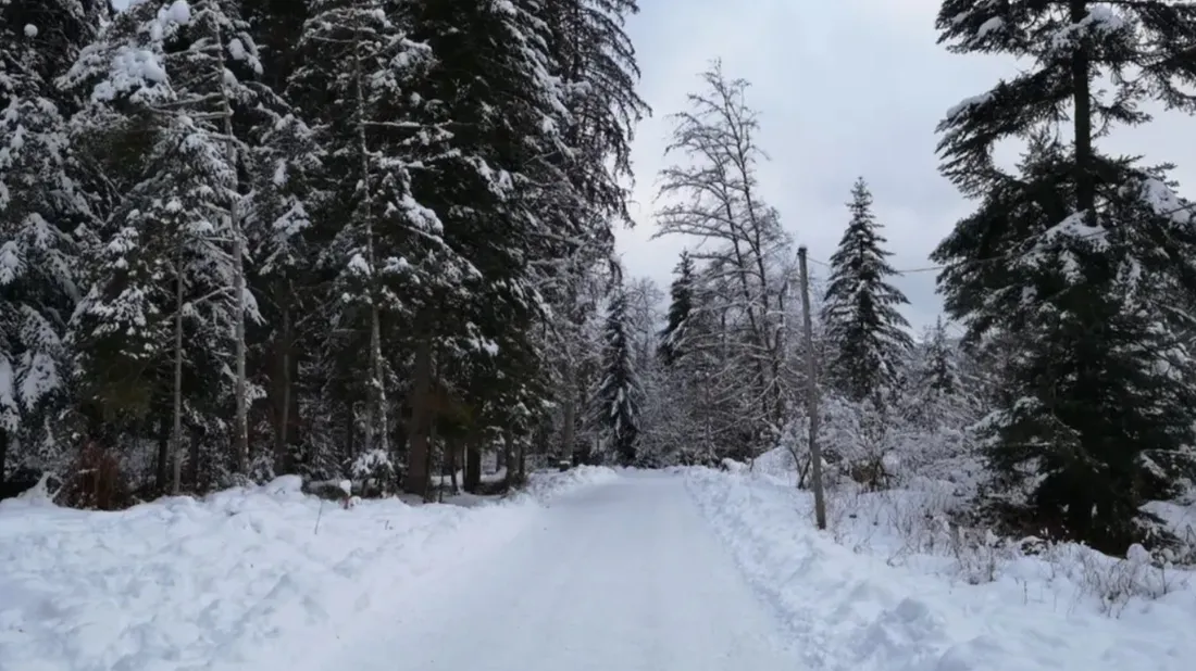 Vosges : les premiers skieurs sont déjà là !
