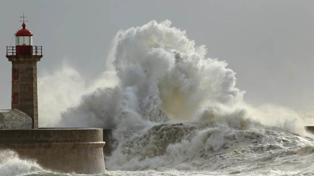 Tempête Goretti : des équipes Enedis de l’Est mobilisées pour...