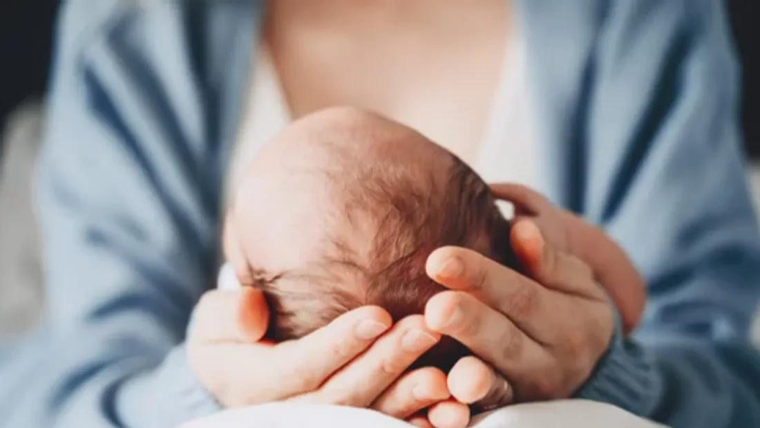 Natalité en baisse : un bouleversement durable pour l’école,...
