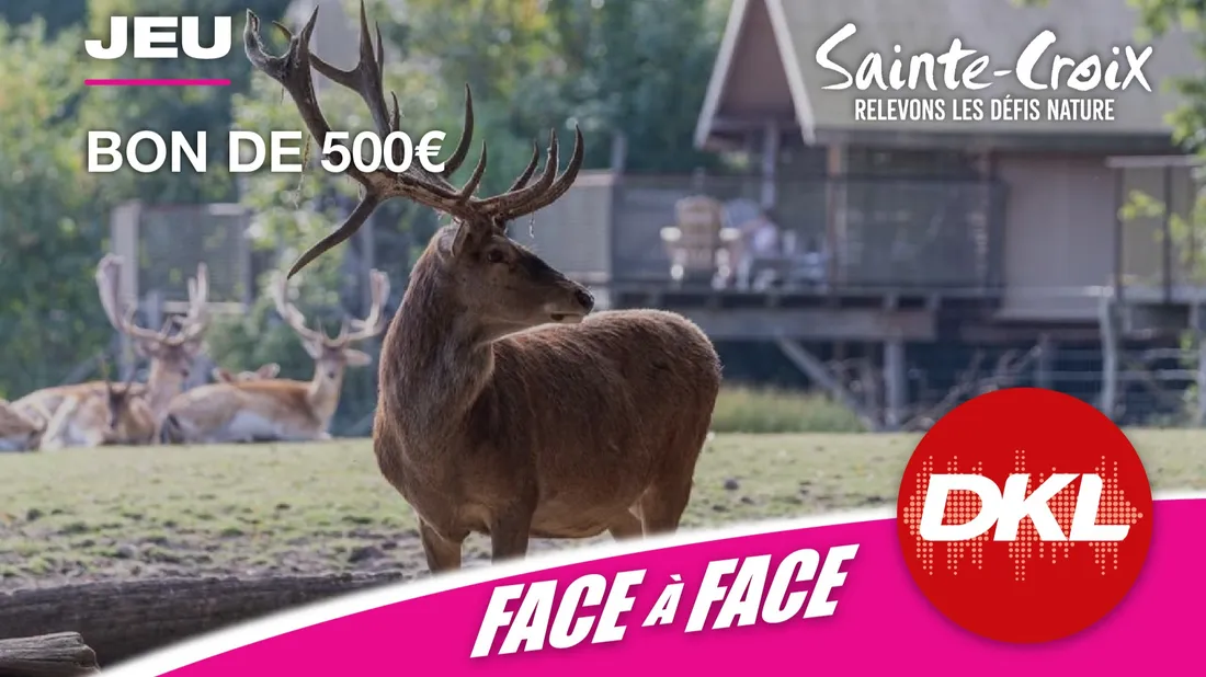 DKL vous offre votre bon d'achat de 500€ valable sur les lodges du...