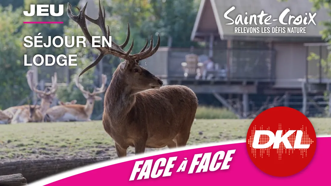 DKL vous offre votre séjour en lodge au Parc animalier de...