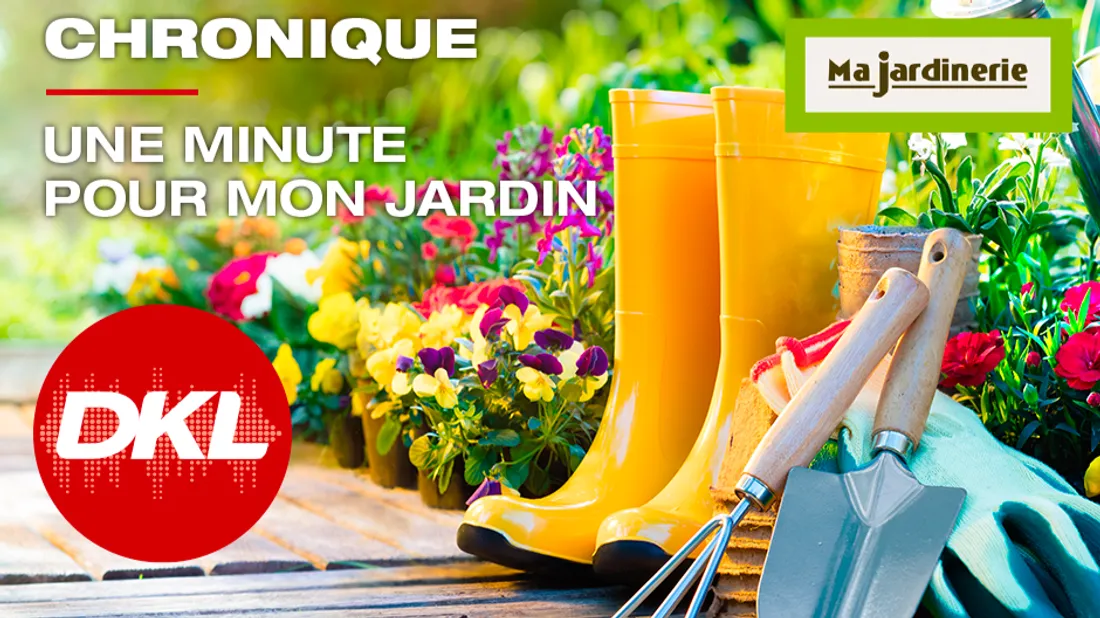 Une minute pour mon jardin 