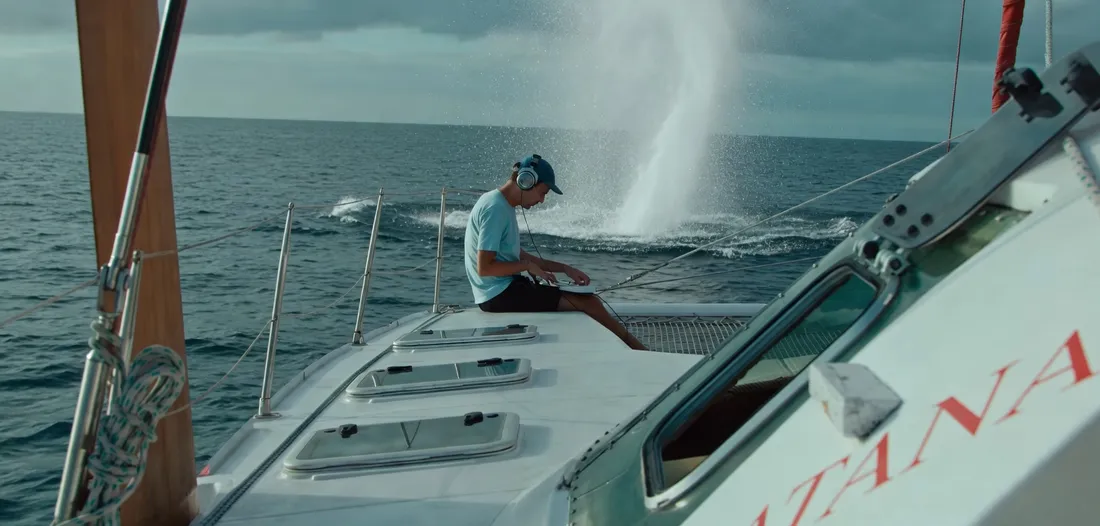 Rone, l’artiste qui parle aux baleines