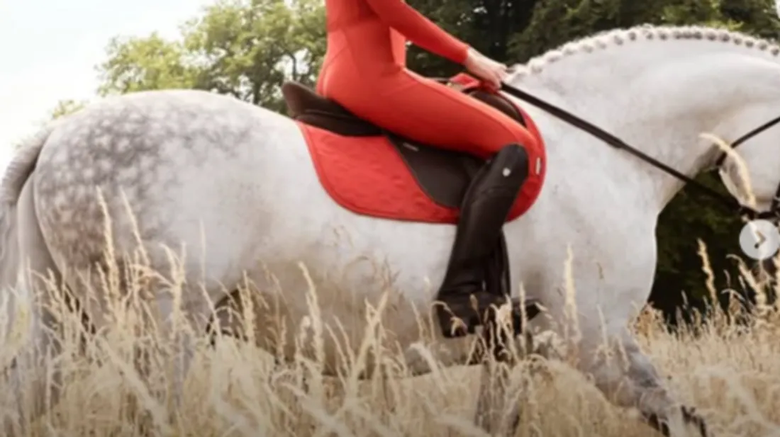 FG CHIC : Stella McCartney x LeMieux , quand la mode consciente...