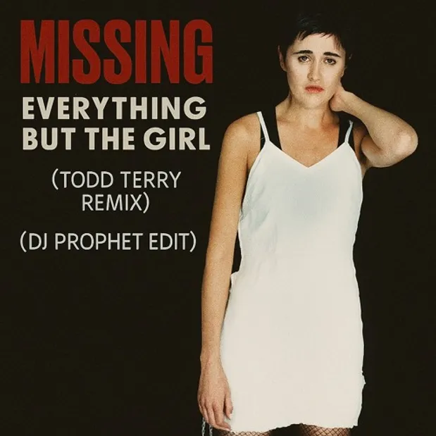 La music story du jour : Todd Terry