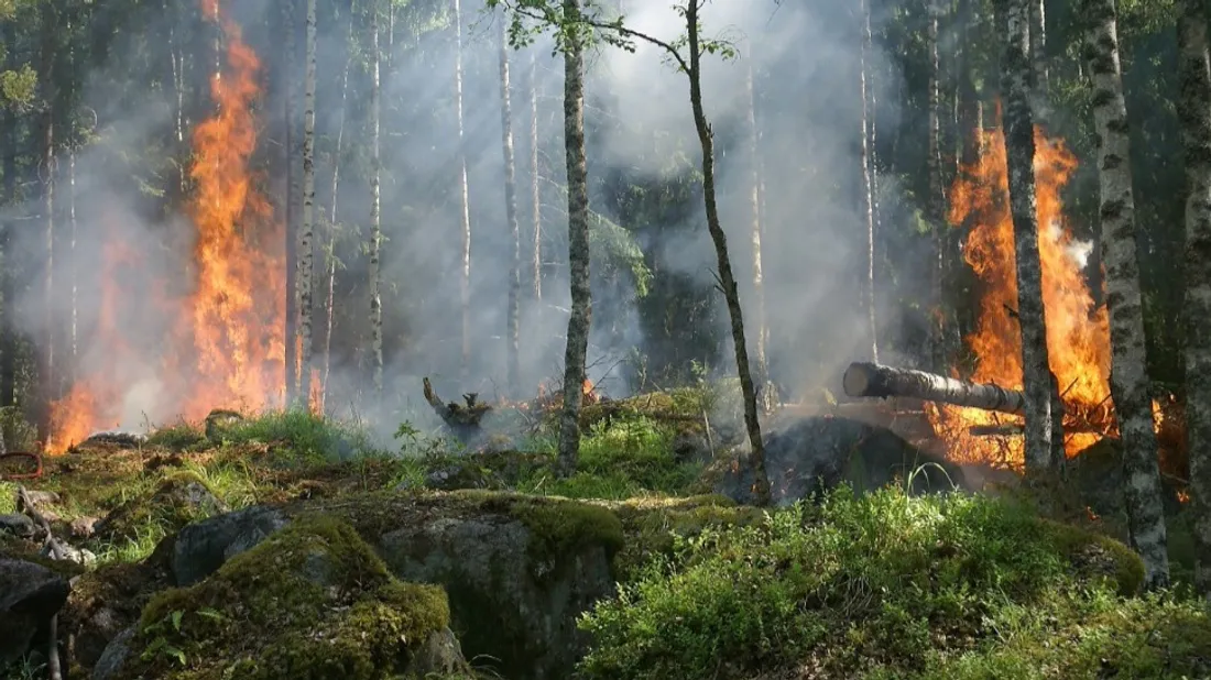 Gironde : la vigilance feux de forêts passe à l'orange, les mesures...
