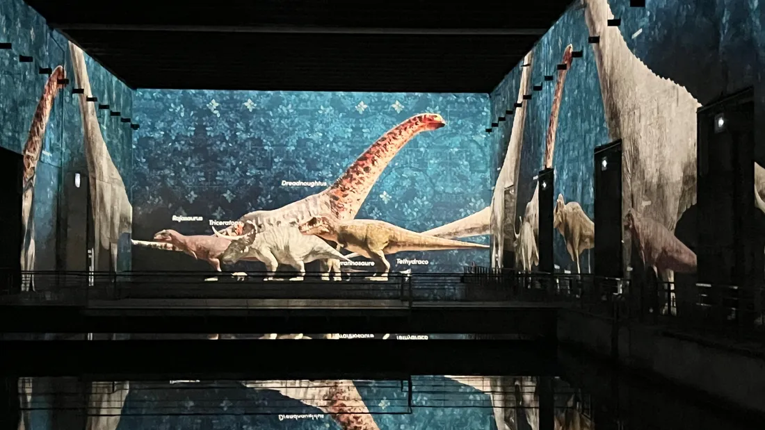 Les dinosaures débarquent aux Bassins des Lumières à Bordeaux
