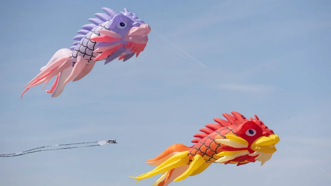 Grand-Fort-Philippe : Des dragons, des pieuvres géantes, Spiderman...