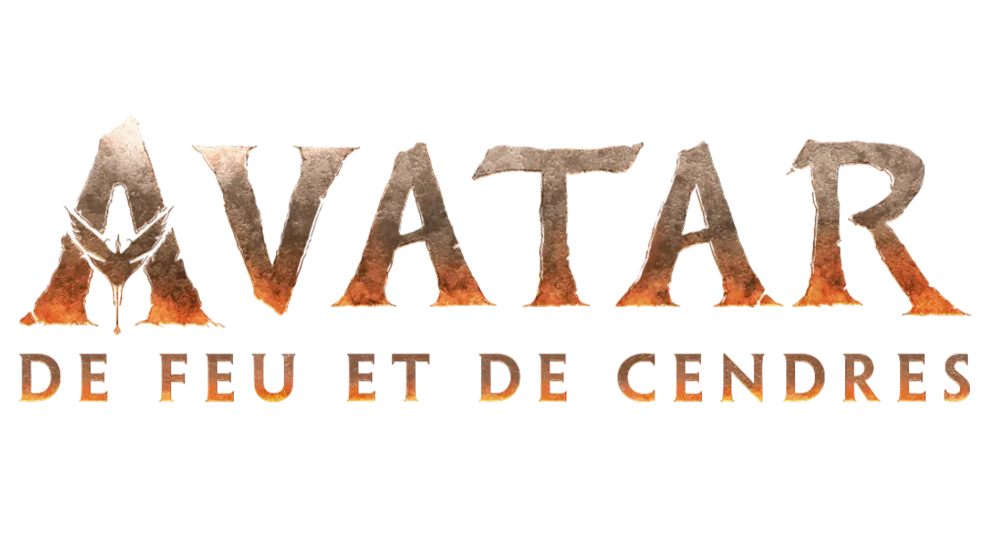 Cinémas de la région : Bilan 2025