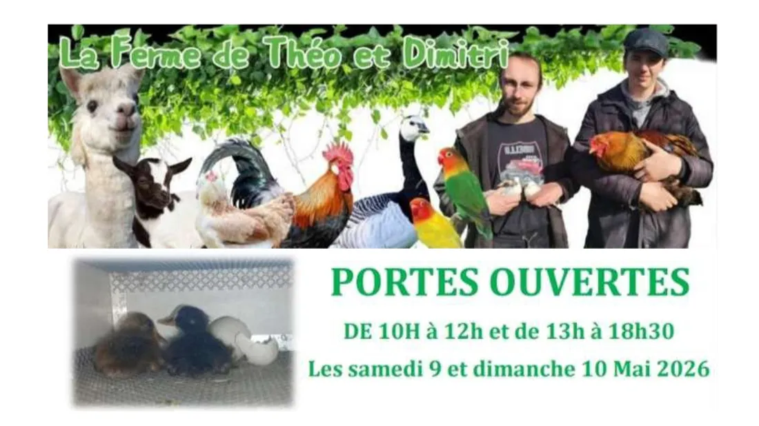 Balinghem : Portes ouvertes ce week-end à la Ferme de Théo et Dimitri