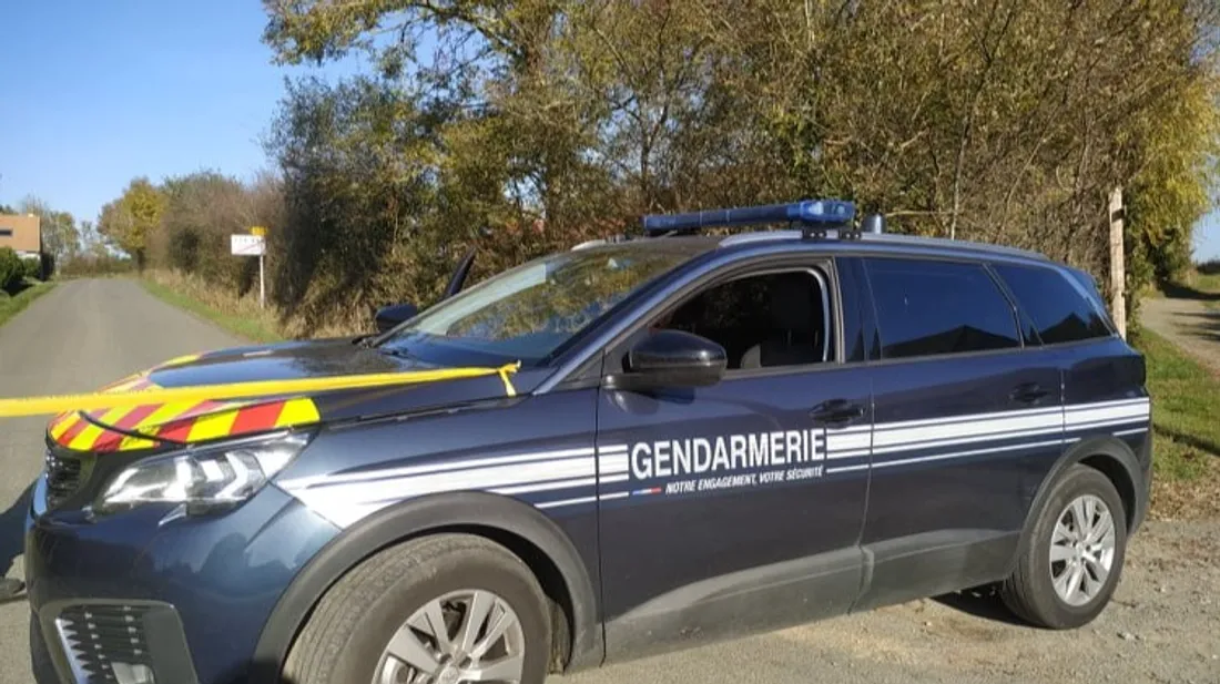Angers-Château-Gontier. Une mère tente de se suicider, son...