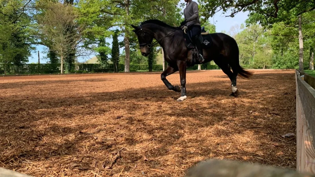 Lion d'Angers. Une carrière 100 % bois à l'Isle Briand, « la...