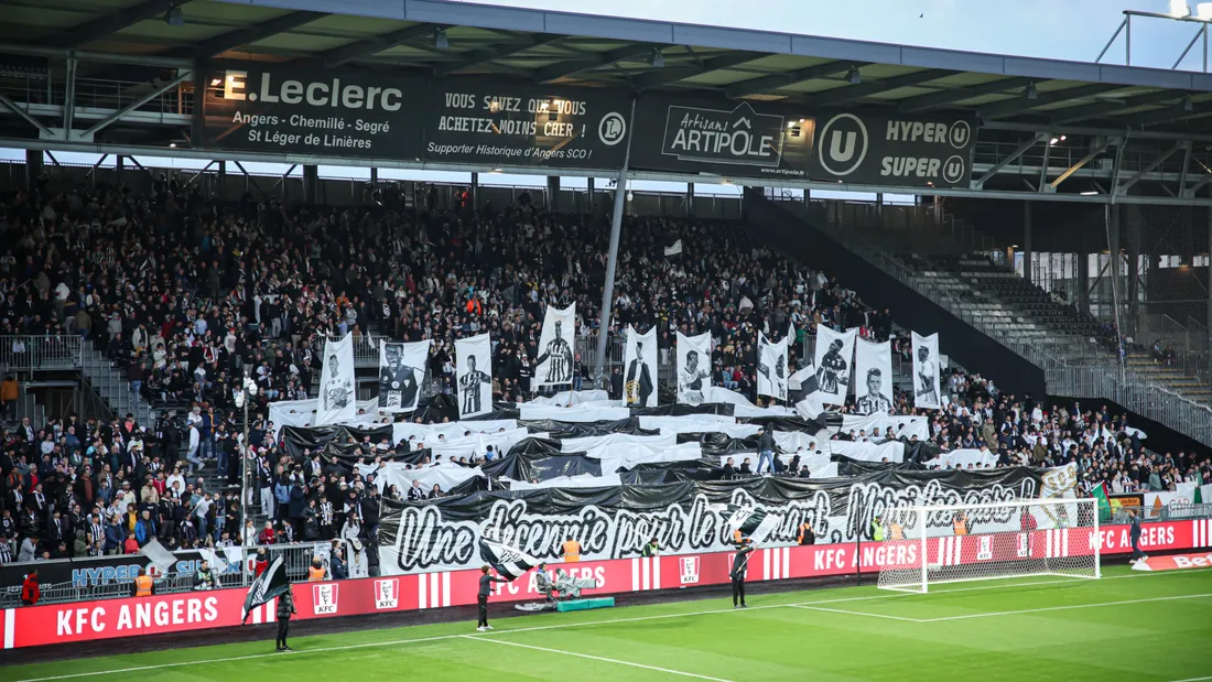 Angers Sco. Ce qu'on a aimé et pas aimé face à Strasbourg