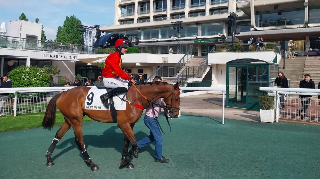 Les pronostics hippiques pour ce dimanche 1er mars