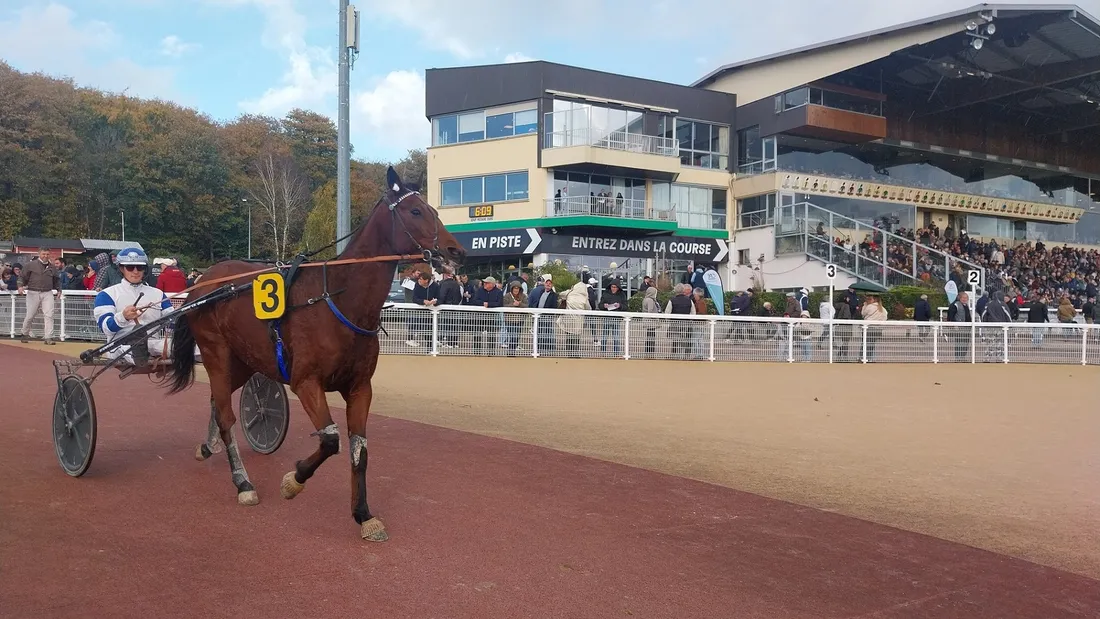 Les pronostics hippiques pour ce dimanche 7 décembre