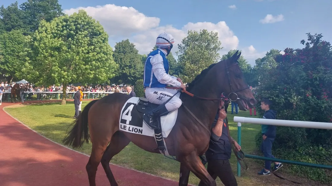 Les pronostics hippiques pour ce dimanche 5 avril