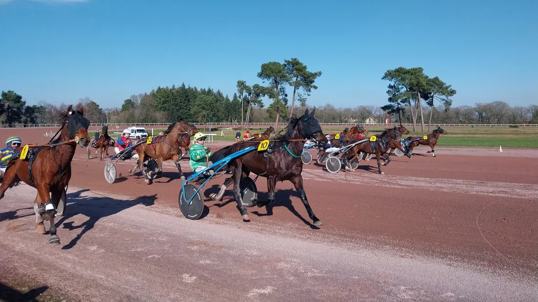 Les pronostics hippiques pour ce dimanche 8 février