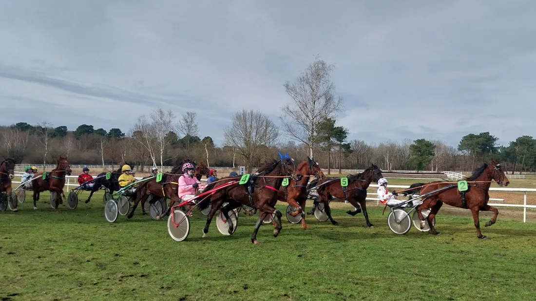 Les pronostics hippiques pour ce dimanche 29 mars