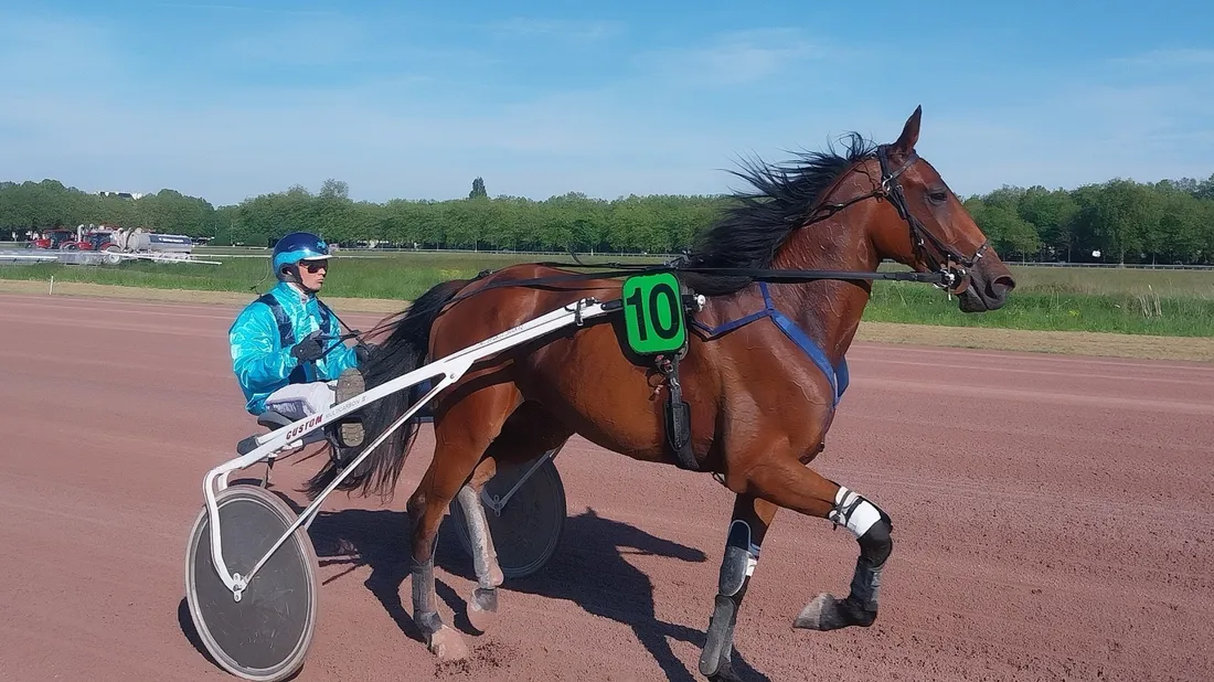 Les pronostics hippiques pour ce samedi 28 février