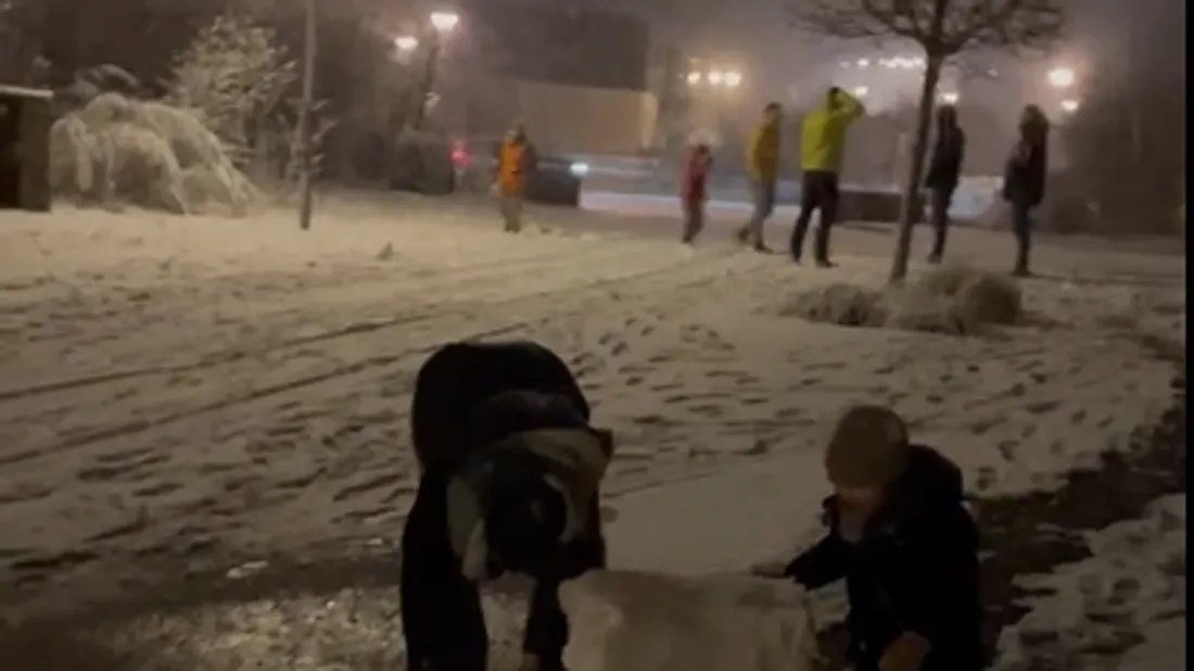 Montreuil-Juigné. La neige a fait le bonheur des habitants de ce...