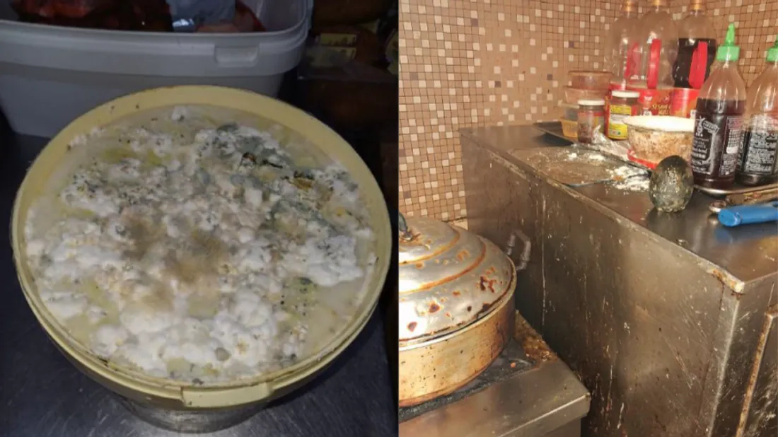 Maine-et-Loire. Rats dans les congélateurs, moisissures sur les...
