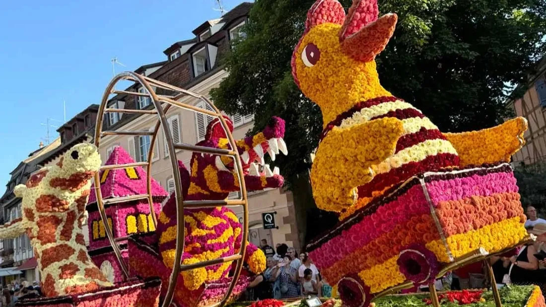 L’été à Sélestat : 50 évènements