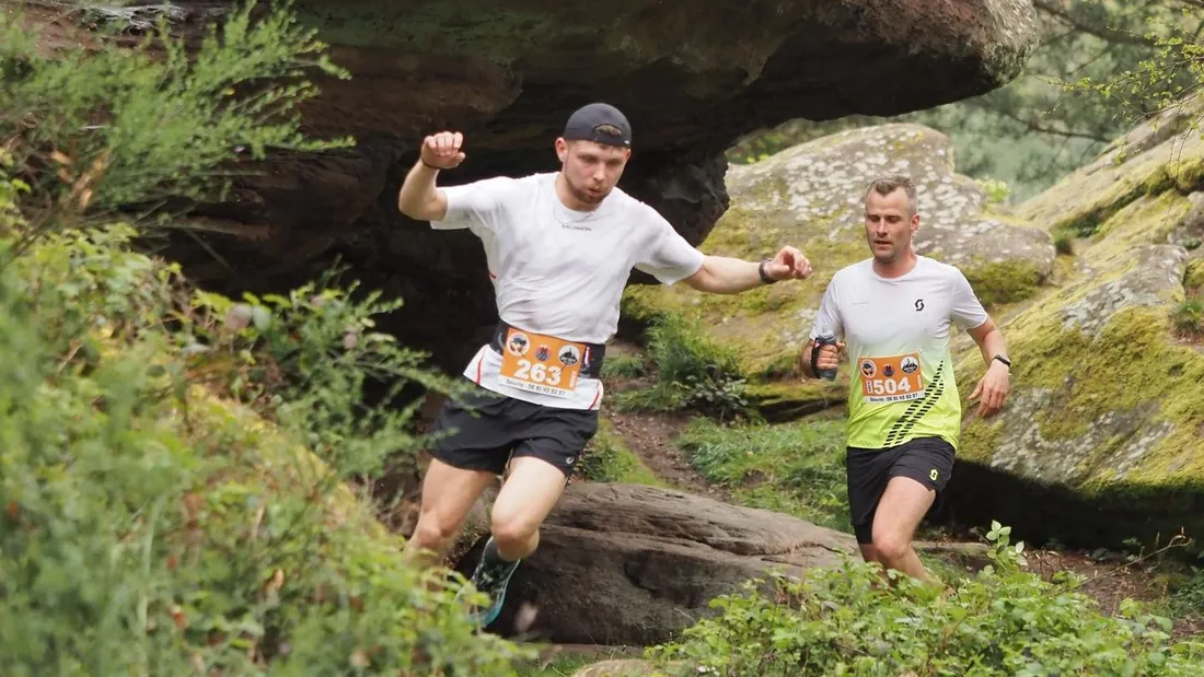 Course, marathon, trail : les rendez-vous en Alsace
