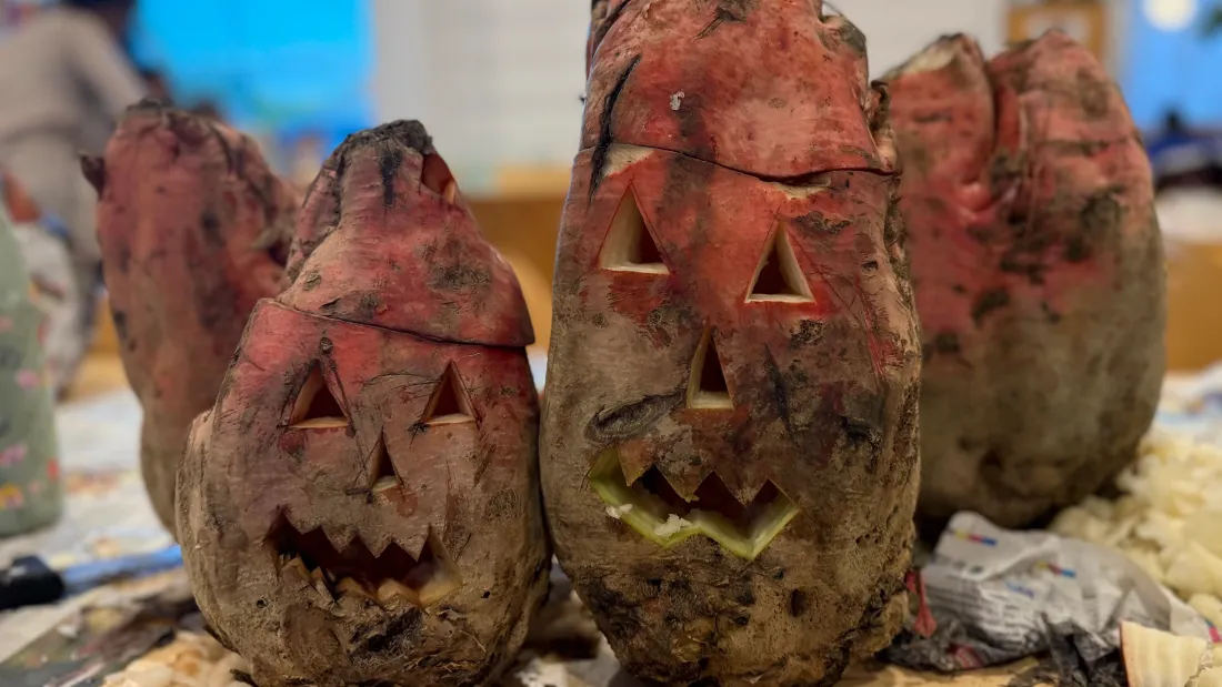 En Alsace, les betteraves à la place des citrouilles pour Halloween