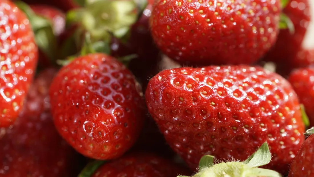 Raz-de-marée sur la fraise française : pourquoi les prix chutent en...