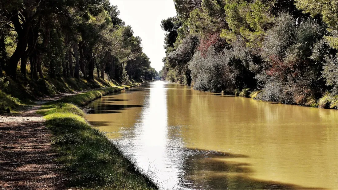 Canal du Midi : une association invite les communes riveraines à...