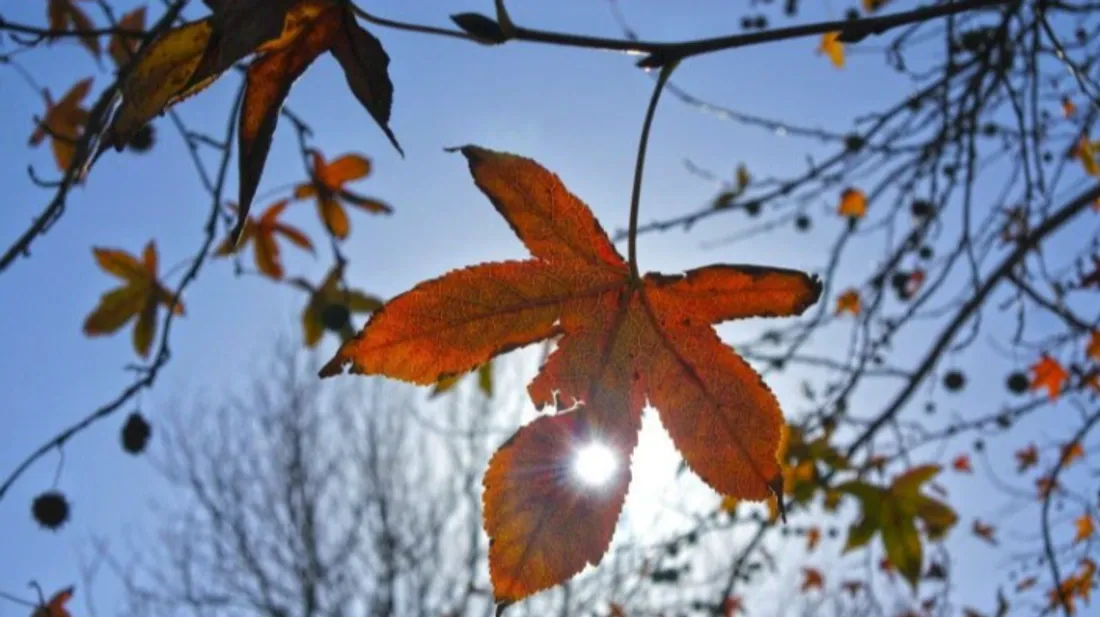 Un air de printemps en novembre : la Bretagne et les Pays de la...