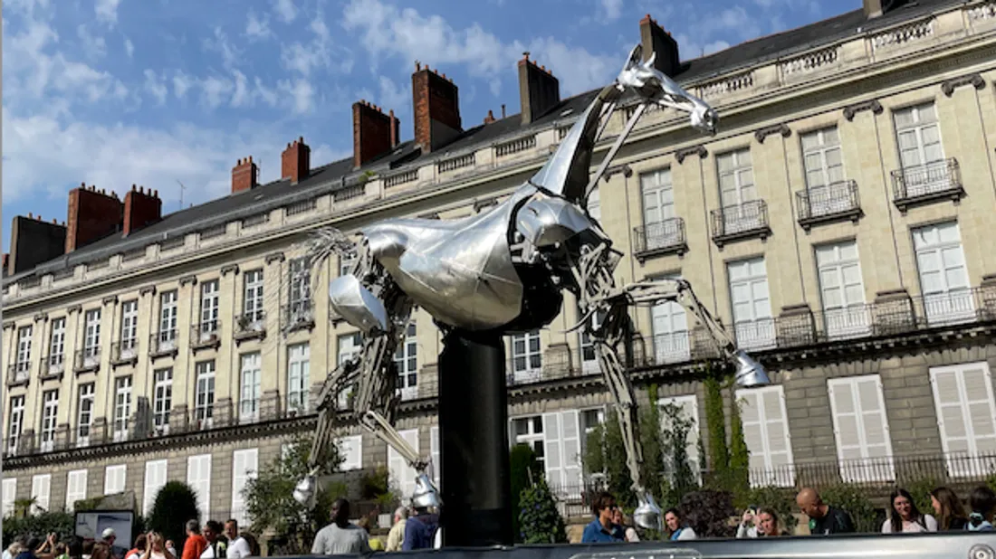 Zeus, la Bretagne et le vent du large : Aurélien Meyer réinvente le...