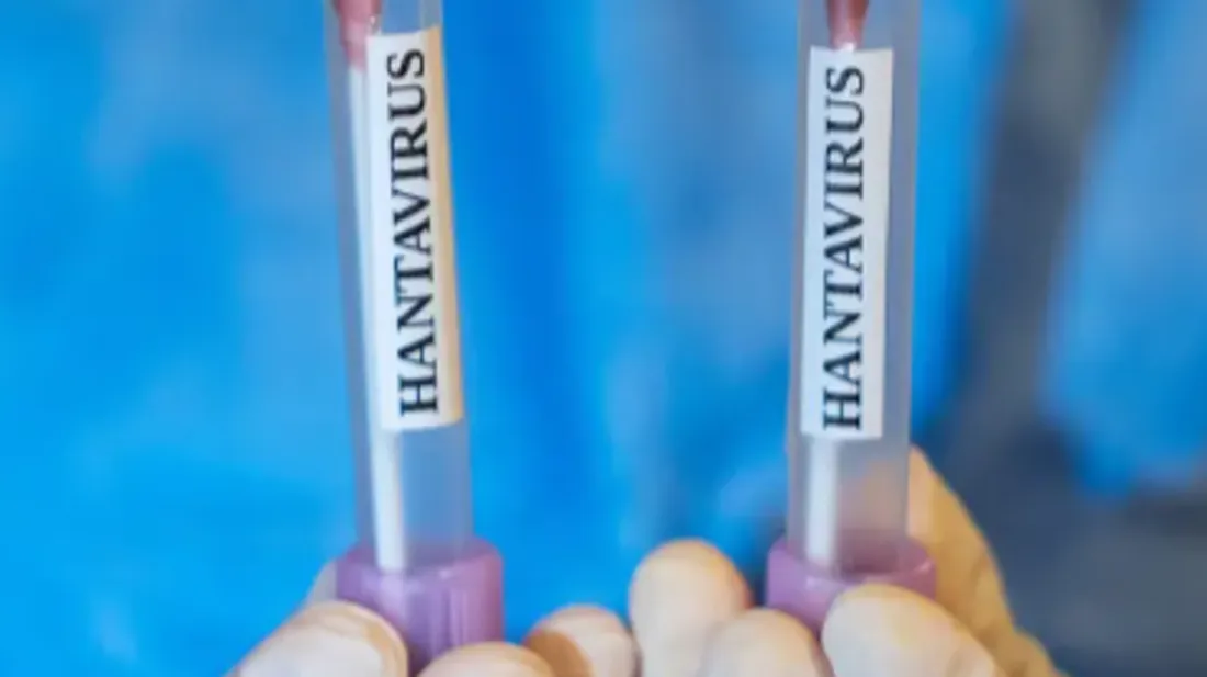 Hantavirus : les 26 cas contacts français sans symptôme, mais...