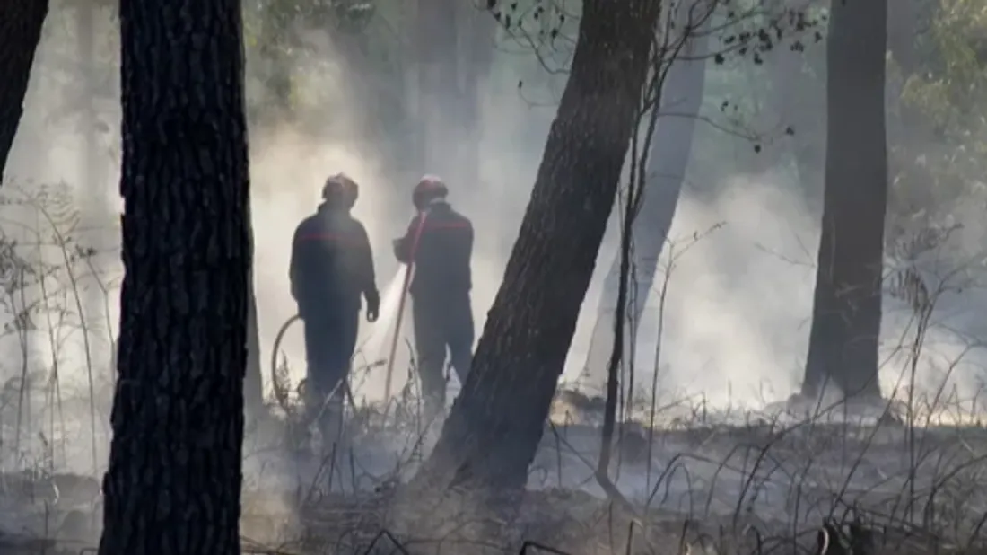 Plusieurs feux de végétation en Loire-Atlantique : 200 pompiers...