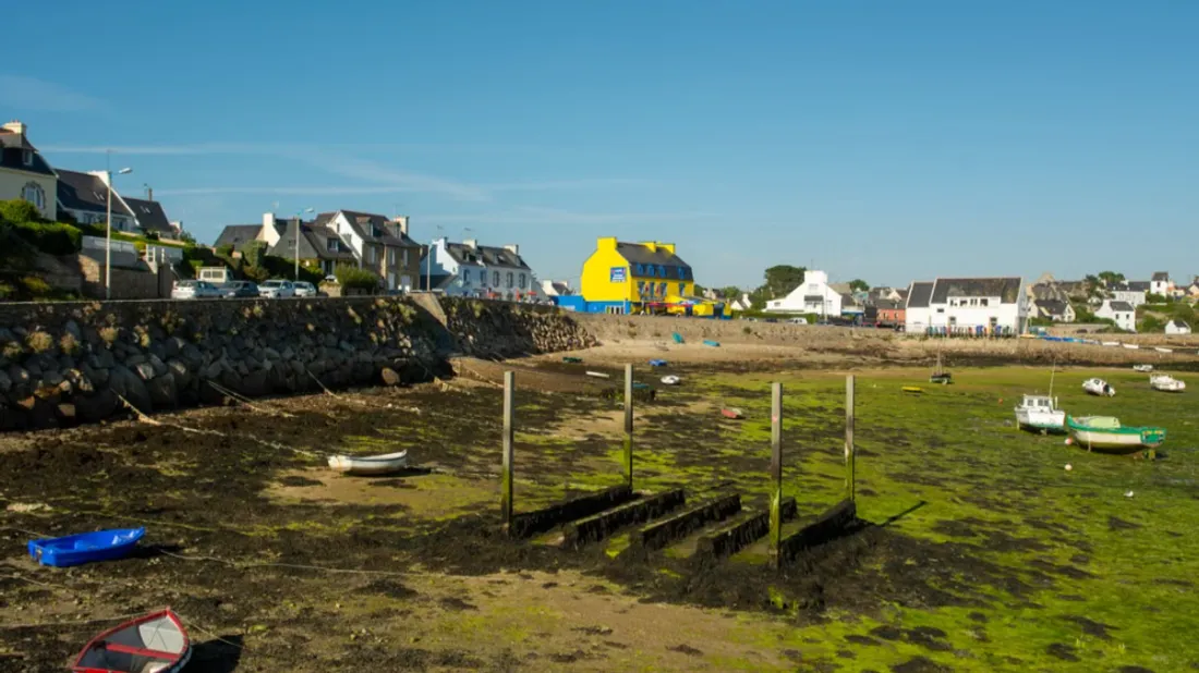 Bretagne : la lutte contre les algues vertes atteint un palier,...