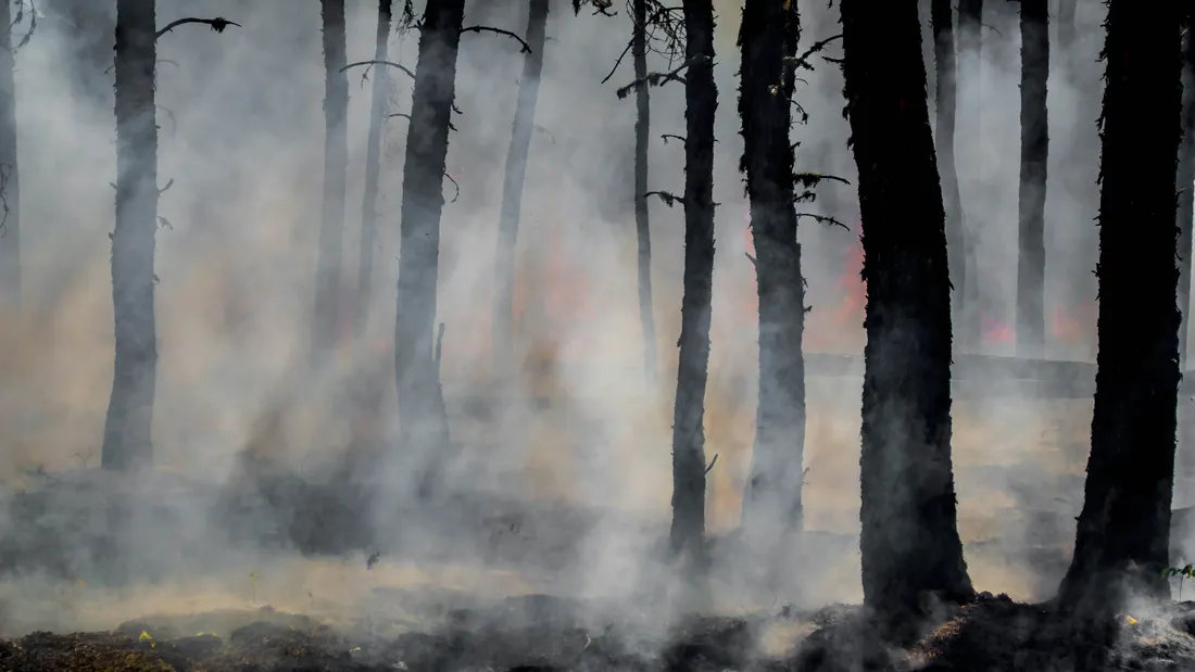 Incendies : la solidarité s'organise en Bretagne et dans les Pays...