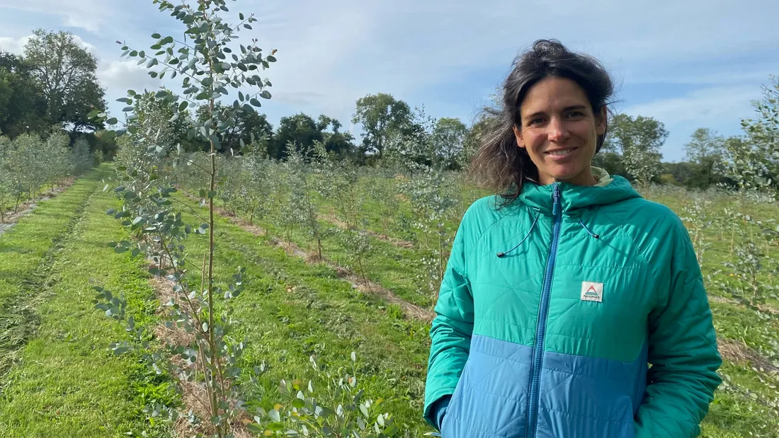 Calvados : une exploitation mise sur le feuillage français pour nos...