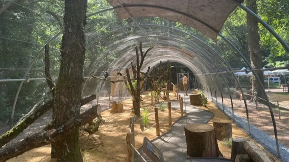 Le Zoo de Pescheray inaugure une volière immersive