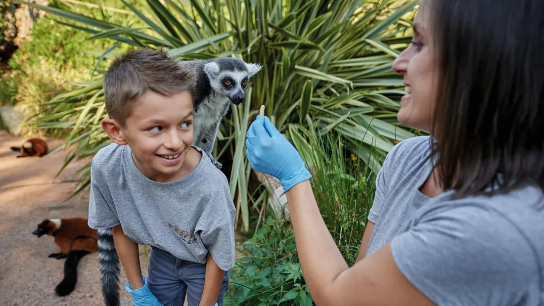 Devenez soigneur d'un jour au Zoo de La Flèche !