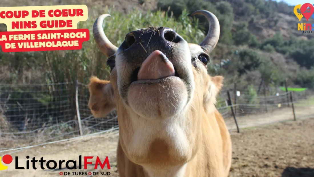 Coup de Coeur Nins Guide : La ferme Saint-Roch de Villemolaque pour...