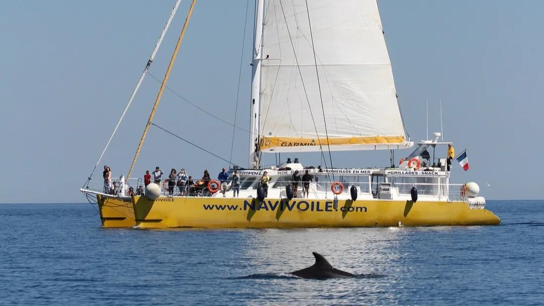 P.O : Partez en croisière, le temps d'un instant avec Navivoile